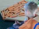 b_150_100_16777215_0_0_images_stories_aktualnosci_2014_marchewka_marchewka19.jpg