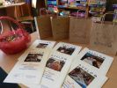 Wakacyjne wtorki z biblioteką