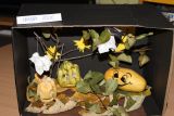 b_160_120_16777215_0_0_images_stories_aktualnosci_2013_spotkania_hallowen_IMG_2294.JPG