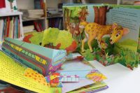 dixit