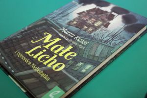 Zdjęcie przedstawia książkę Marty Kisiel Małe Licho i tajemnica Niebożątka